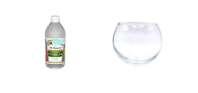 feng shui in southwest 2026